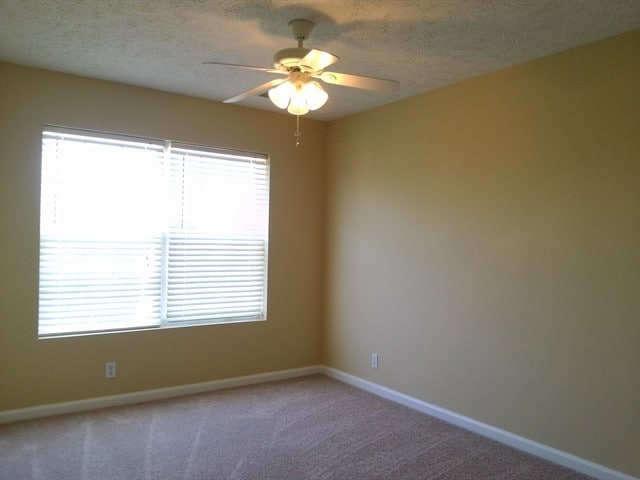 Building Photo - 2316 Hayward Ln