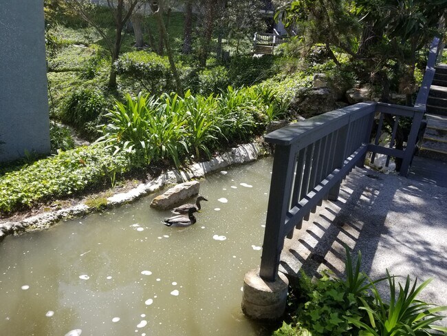 Streams - 3601 W Hidden Ln