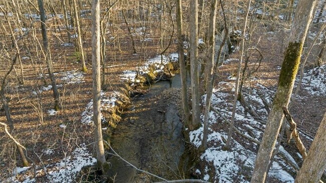 Building Photo - 538 Bearslide Hollow