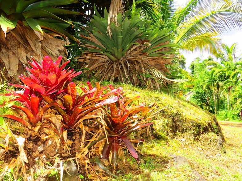 Building Photo - 15-1414 24th Ave