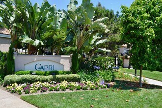 Building Photo - Beautiful UTC Townhome at the Renaissance Capri, with Loft, Fireplace, Garage & Resort Amenities