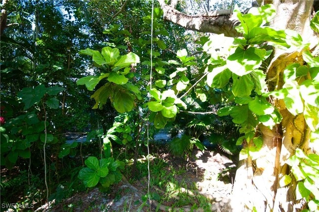 Building Photo - 1313 Solana Rd