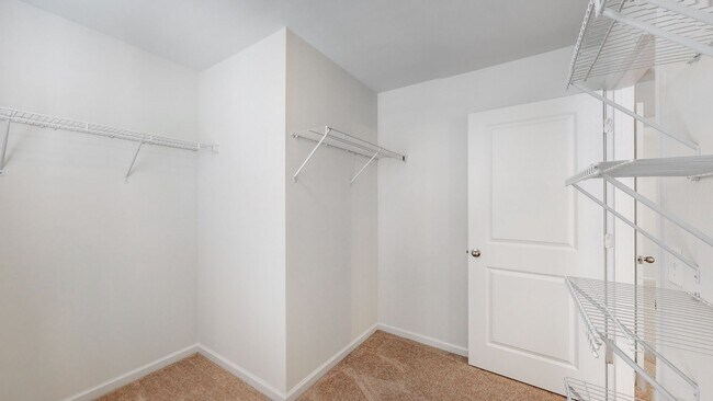 Building Photo - 5 Bedrooms, 3 Bathrooms in Richmond Hill P...