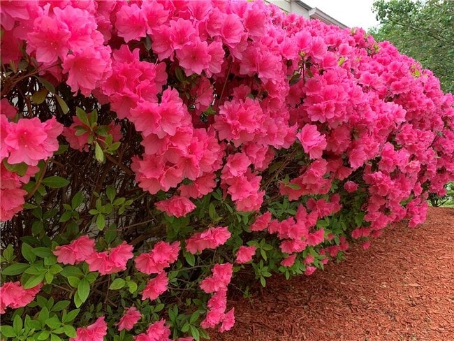 Building Photo - 2020 Chelton Way SE