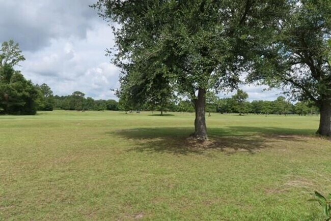 Building Photo - 34377 Campana Ln
