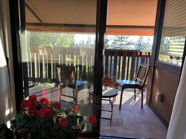 Building Photo - Adorable Condo - Perfect for Watching Suns...