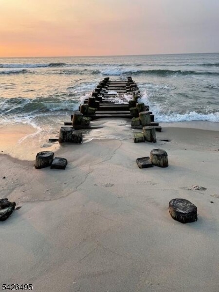 Building Photo - 217 Newark Ave