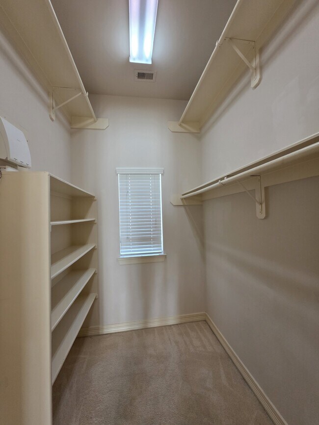 Building Photo - 7006 Paxton Ct