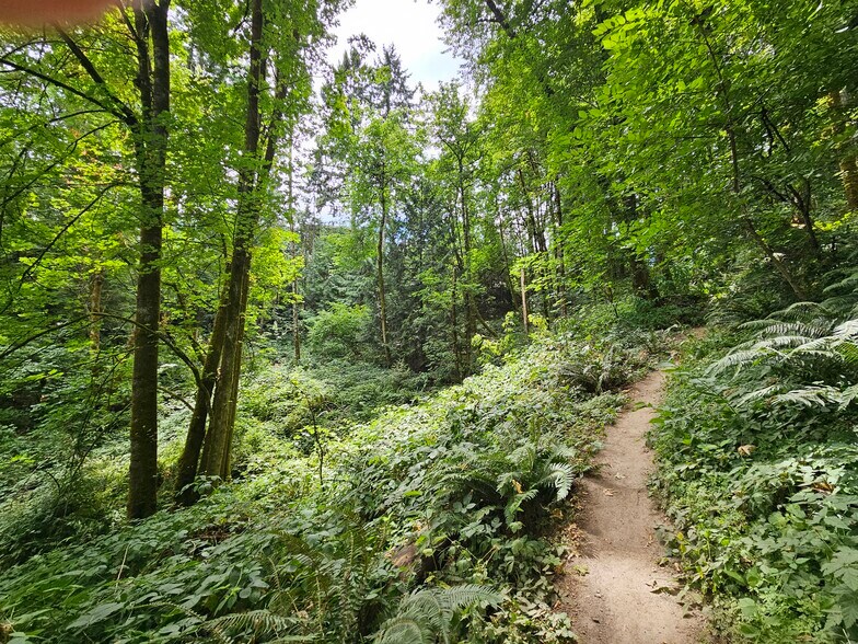 Building Photo - 13518 SW Hillshire Dr