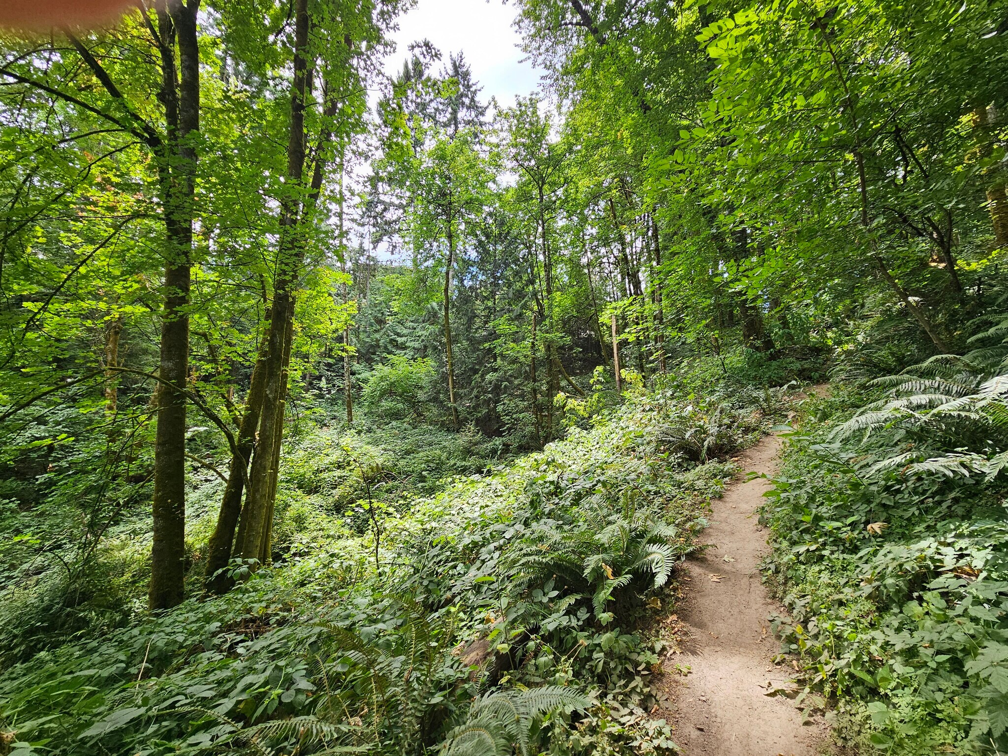 Building Photo - 13518 SW Hillshire Dr