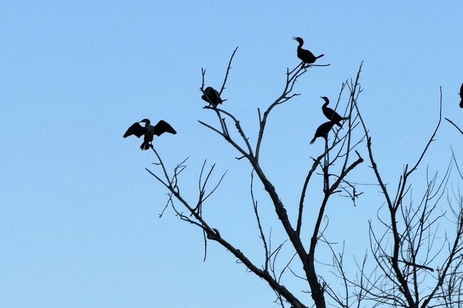 Building Photo - 695 Ketch Ct