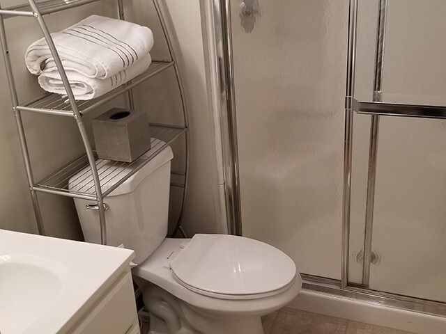 Bathroom off lower level rm - 4343 Laclede Ave