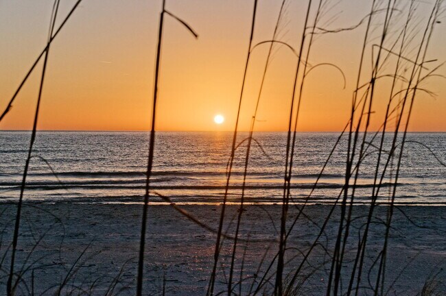 Building Photo - 521 Mandalay Ave