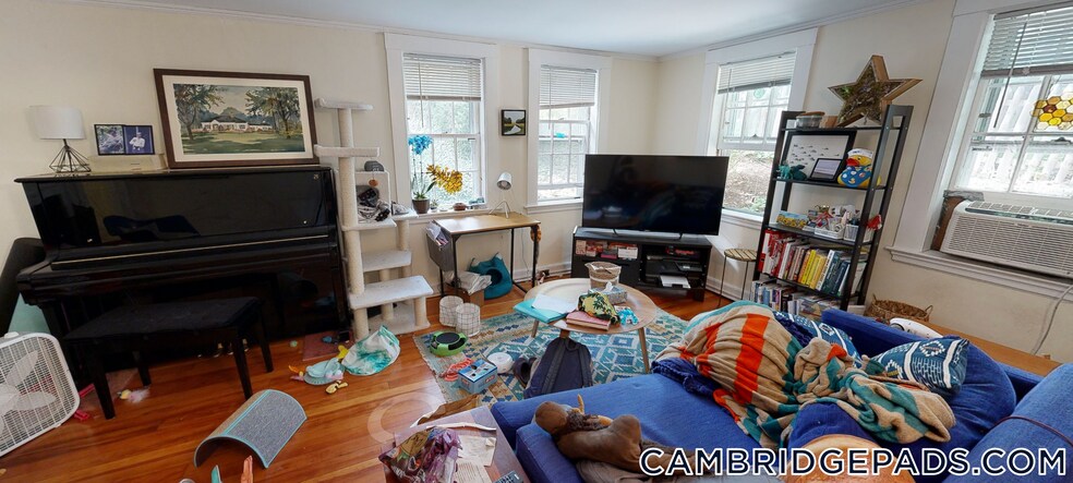 Primary Photo - 38 Gibson St
