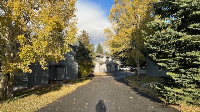 Beautiful trees through outghout - 640 Homestead Dr