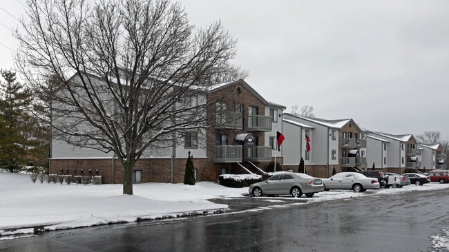 Primary Photo - Tall Timber Apartments
