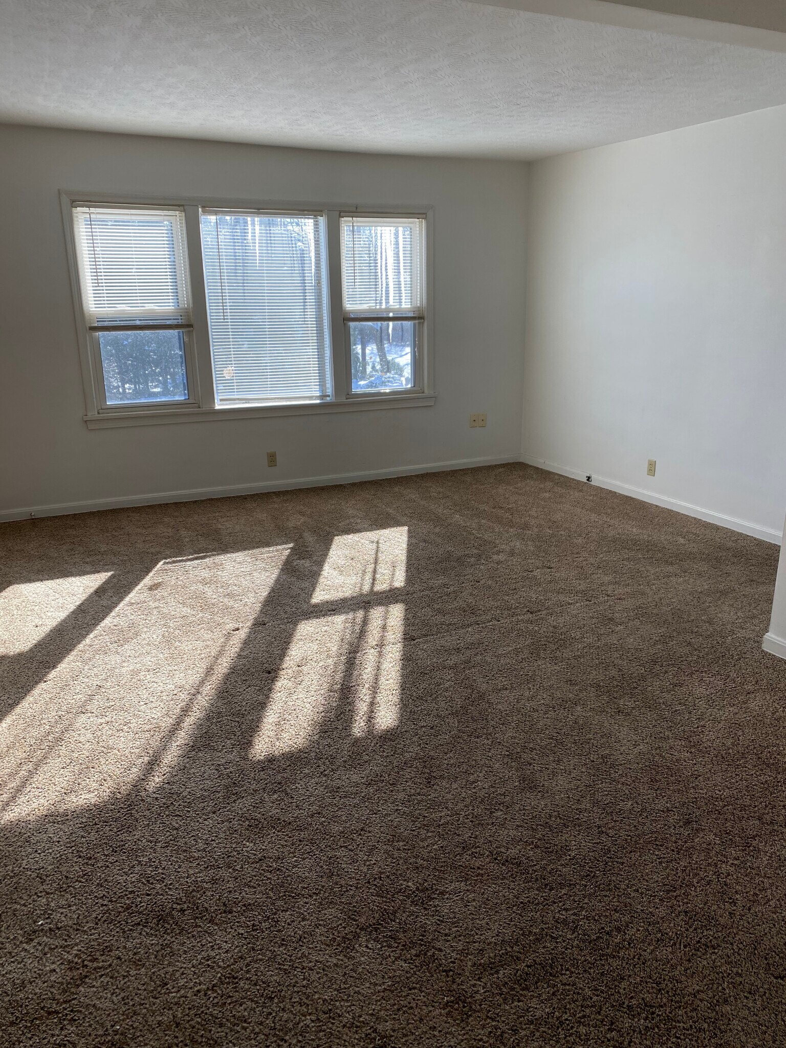 Living Room - 1339 Sackett Ave