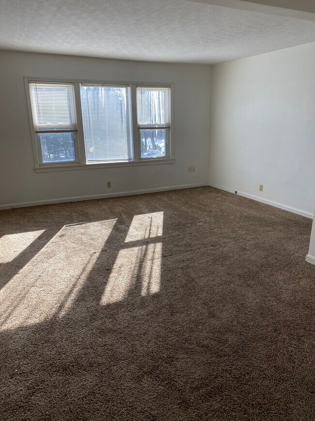 Living Room - 1339 Sackett Ave