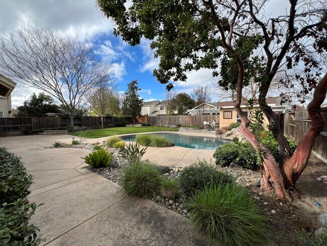 Building Photo - 4 bedrooms, an office and single-story home with a pool!!