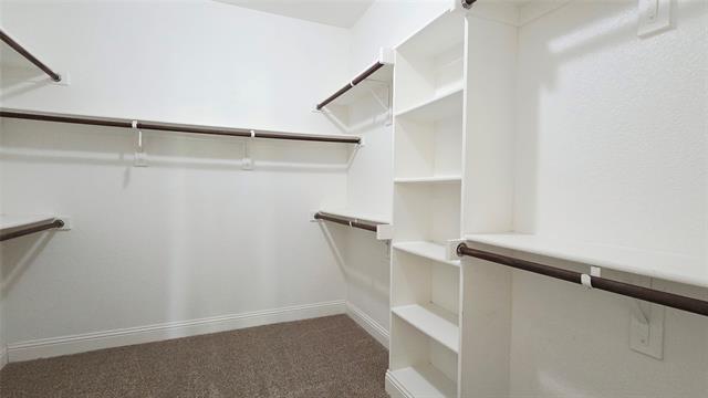 Building Photo - 12381 Summertree Dr