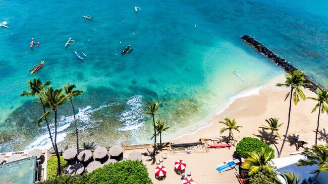 Building Photo - 2895 Kalakaua Ave