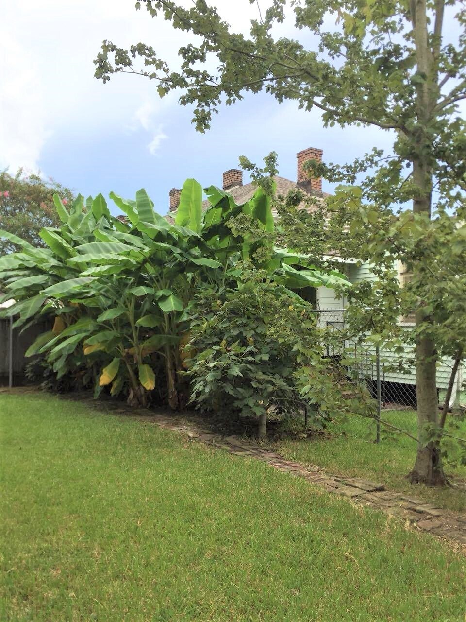 Building Photo - 1823 Robert St