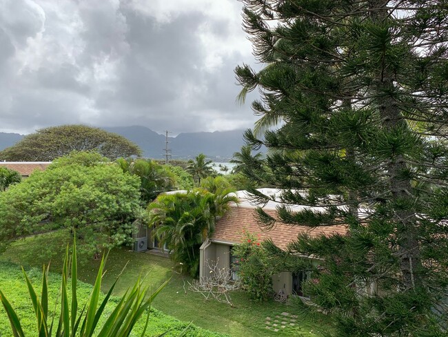 Building Photo - Spacious 3/2 in Kaneohe with Tropical Views