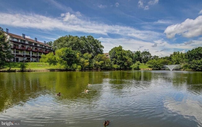 Building Photo - 18273 Leman Lake Dr