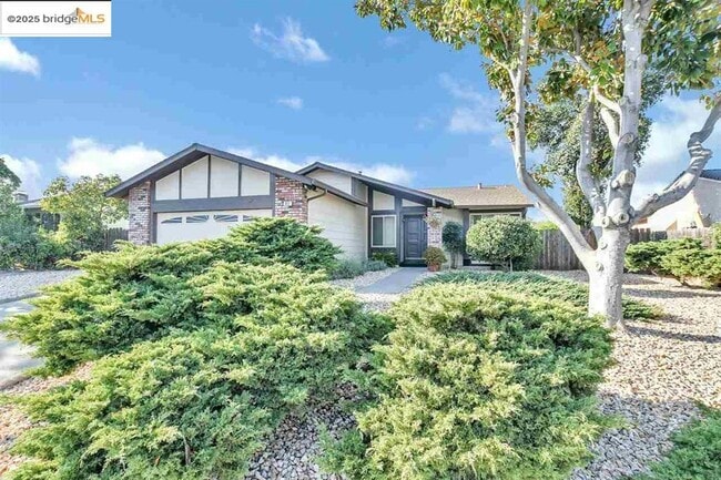Building Photo - 817 Basalt Way
