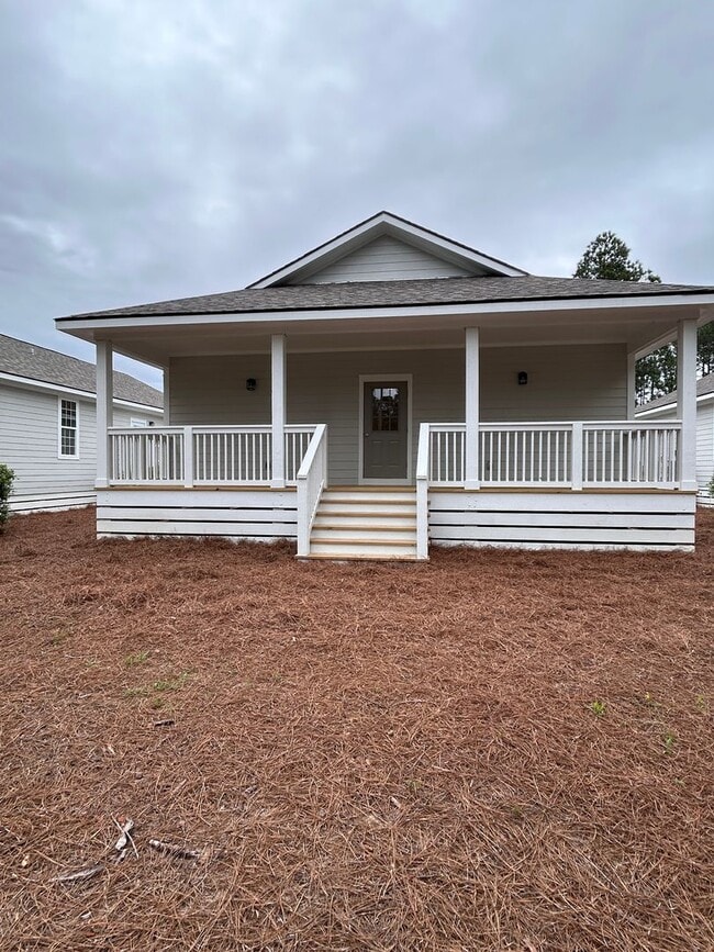 Building Photo - Brand new home! 3/2 with covered porches