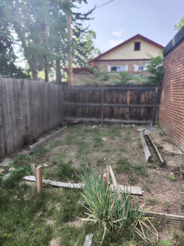 Building Photo - 3853 Julian St