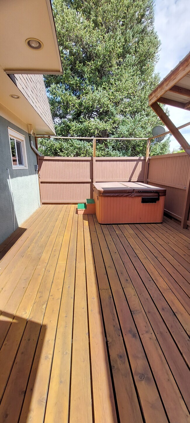 large deck - 520 S 9th St