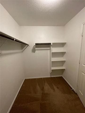 Building Photo - 5817 Mountain Bluff Dr