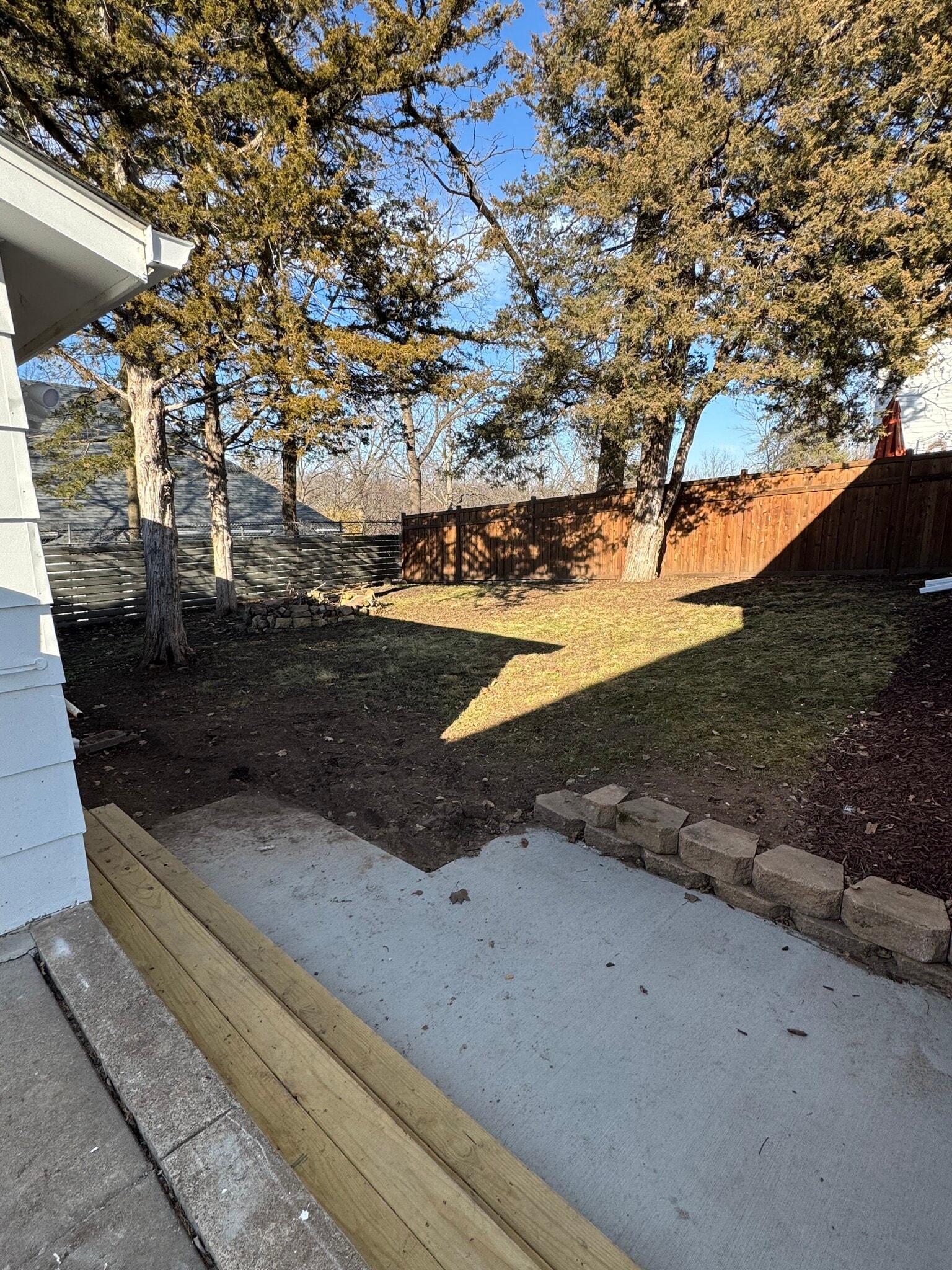 Backyard - 610 Linden St W