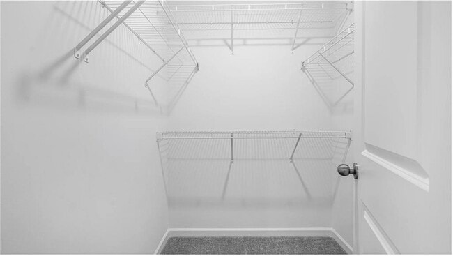 Building Photo - 139 Shenandoah Ln