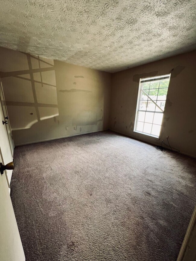 Building Photo - 929 Live Oak Dr