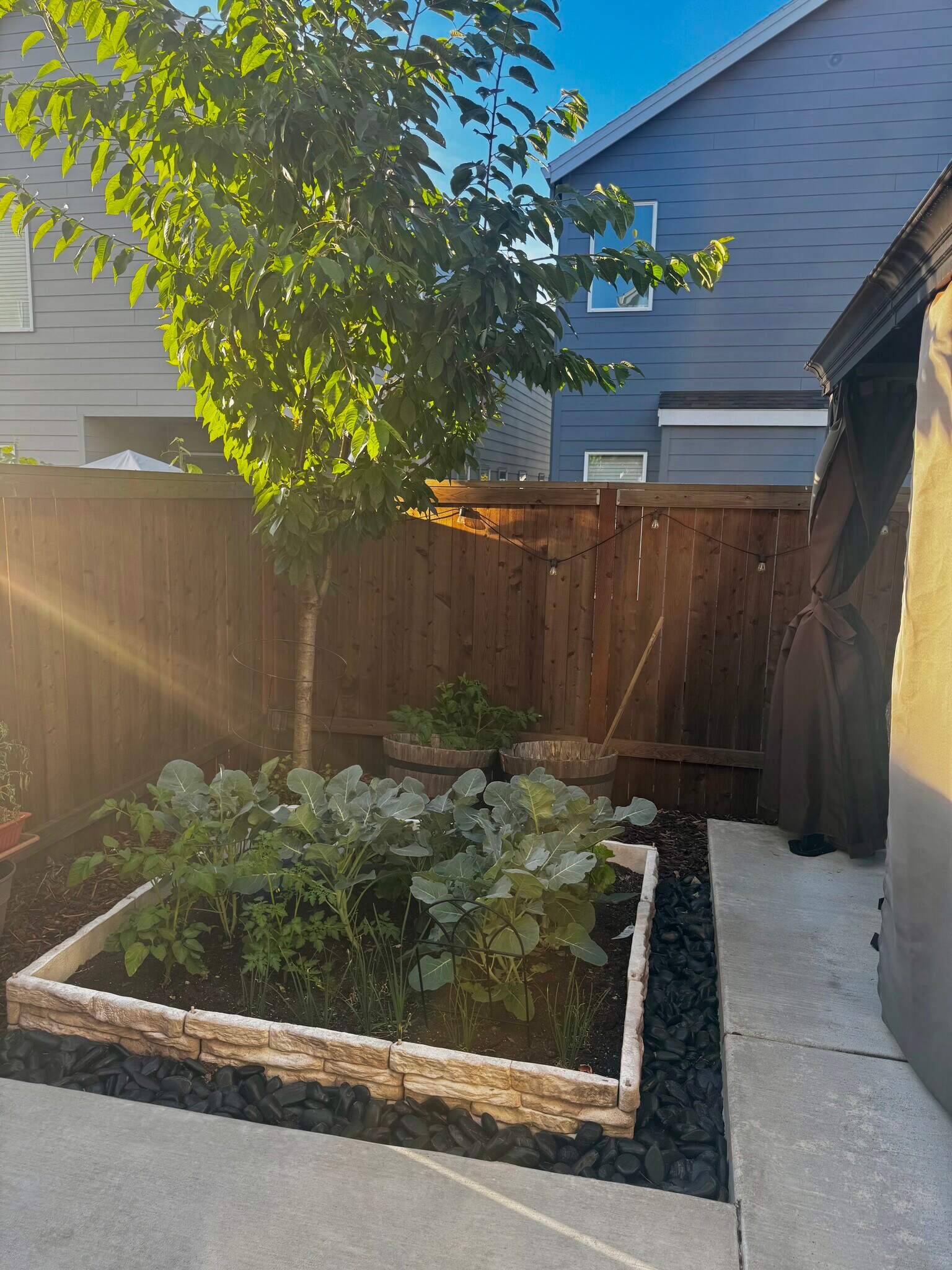 Garden - 16187 SW Vance Ln