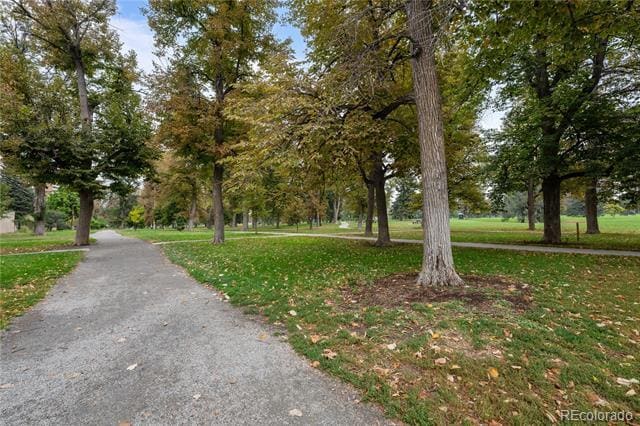 Building Photo - 1090 Lafayette St