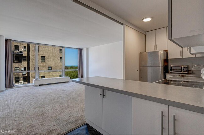 Building Photo - 0 bedroom in Chicago IL 60614