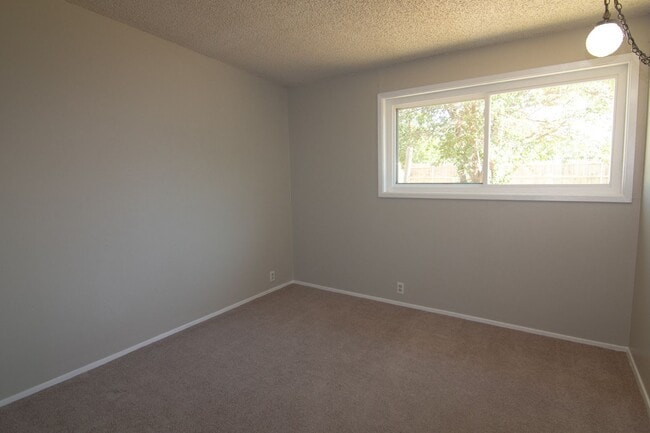 Building Photo - Cute 3 bed 1 bath Large Back Yard