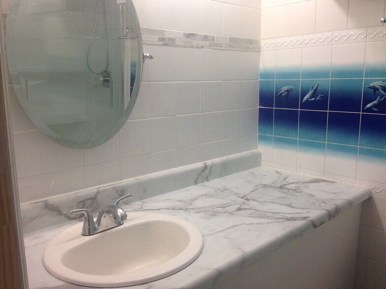 New Sink, Countertop, Mirror (Dec 2019) - 8817 S Thomas Dr