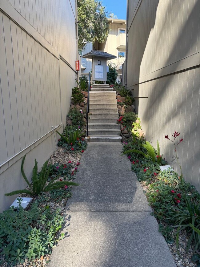 Building Photo - 2 Bed 1 Bath Condo W/ Garage In Orinda