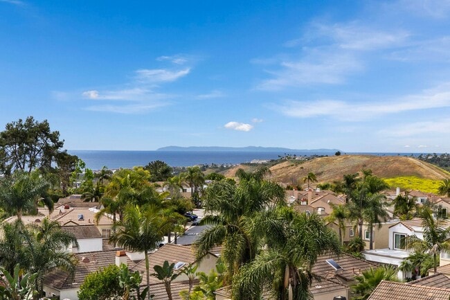 Building Photo - 1056 Calle Del Cerro