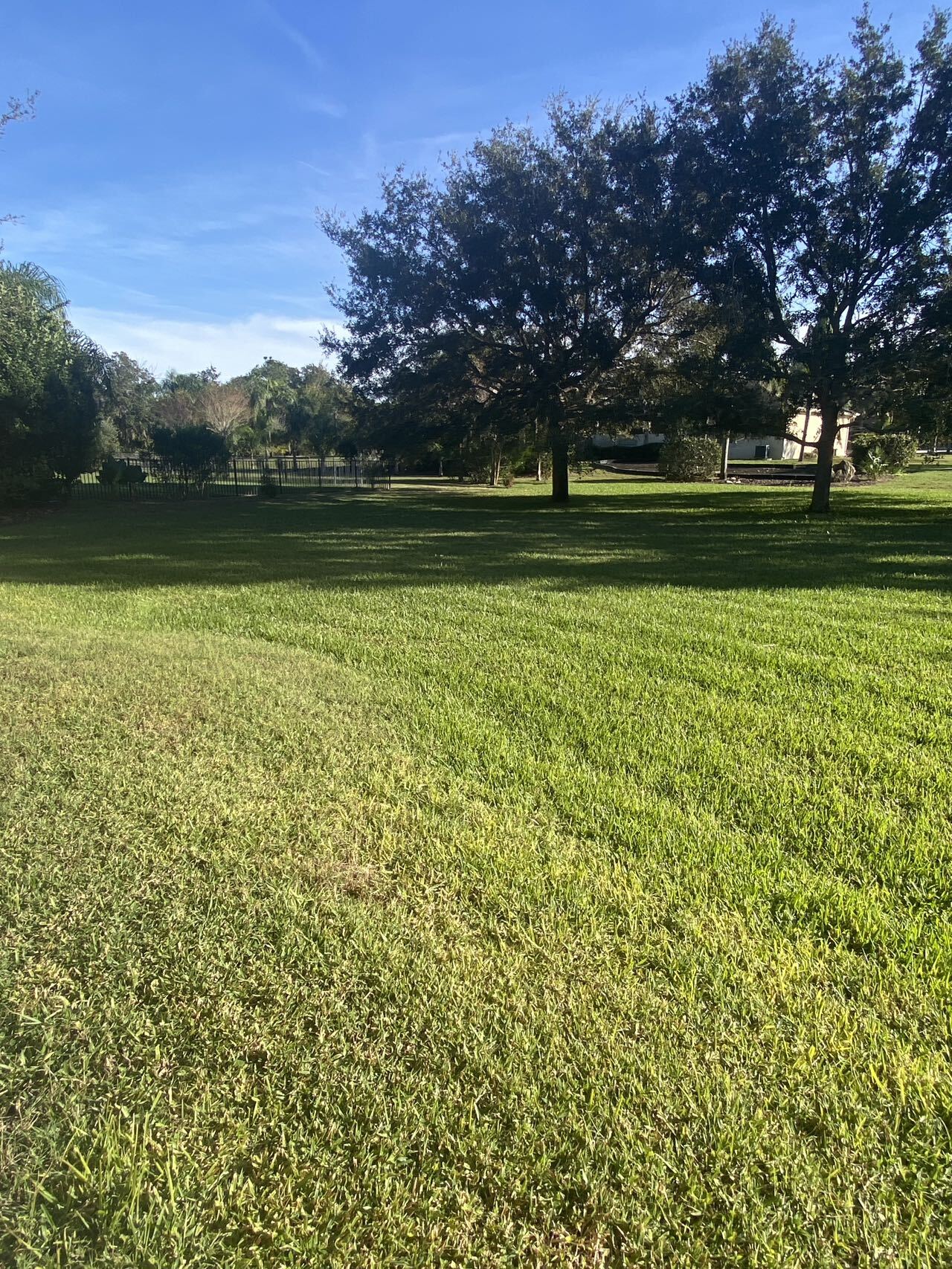 Building Photo - 628 Hills Blvd