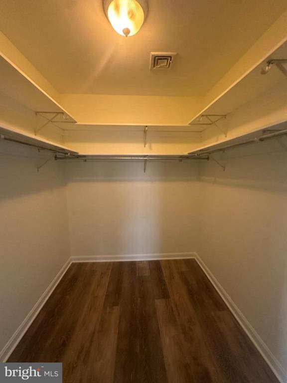 Building Photo - 116 Hawk Ct