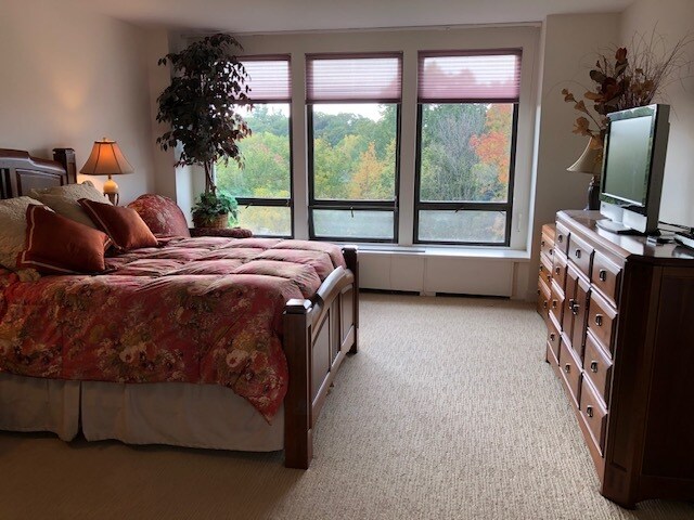 Master Bedroom - 1 Bratenahl Pl