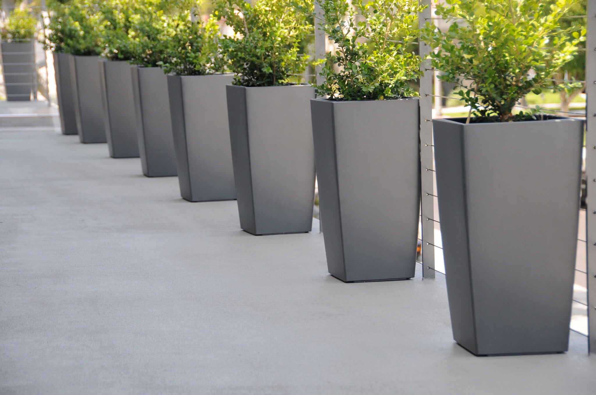 our beautiful property - 457 N Spaulding Ave