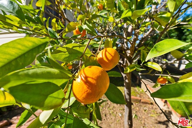 Building Photo - 17117 Weddington St