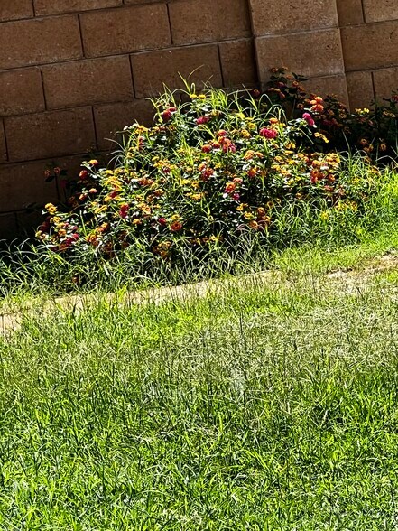 Building Photo - 1512 N Forgeus Ave