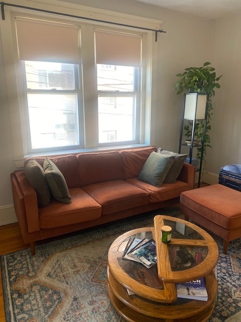 Building Photo - 785 Mount Auburn St